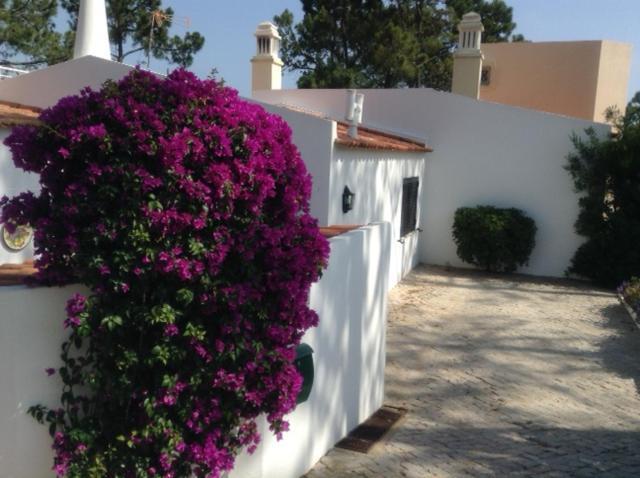 Casa Nicho Villa Vale do Lobo Bagian luar foto